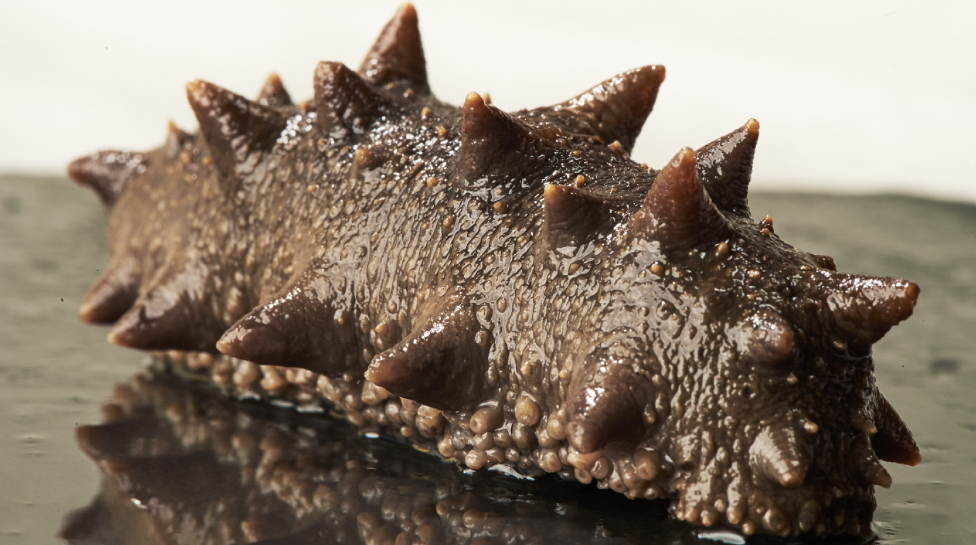 202108201325374067.png 202108201325374067.png